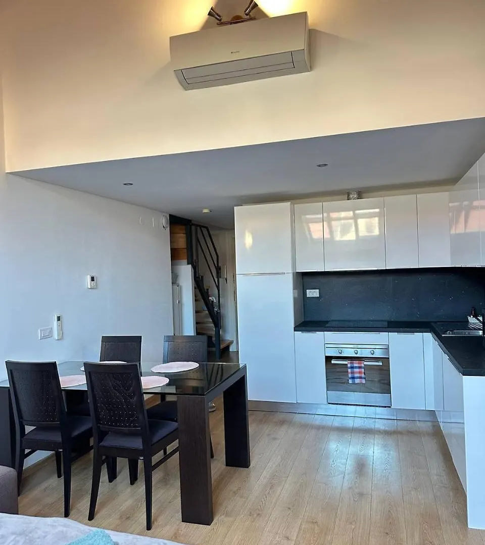 Riverside Palace Apartments 布拉格